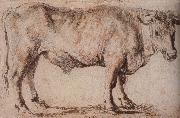 Peter Paul Rubens Bull Sweden oil painting artist